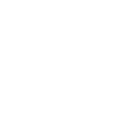 Canton House Irish Town  logo.